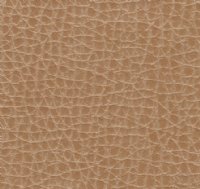 Bonded Leather: Biscuit