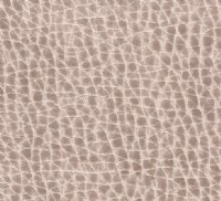 Bonded Leather: Sand