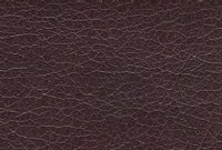 Bonded Leather: Wine