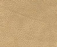 Brisa Buckskin