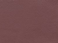Vinyl Burgundy