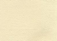 Vinyl Cream
