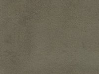 Suede Fern