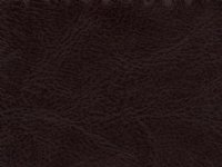 Level 1: Dawson Vinyl Brown
