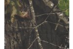 Level 5: Camo Mossy Oak
