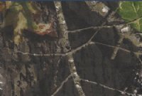 Level 5: Camo Mossy Oak