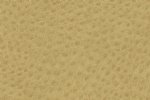 Level 6: Ultra Poly Ostrich Tumbleweed