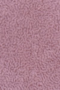 Montego Lilac