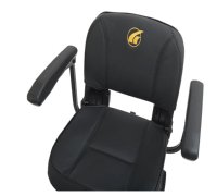 Buzzaround XLS HD 4-Wheel by Golden Technologies